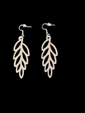 Img 20260114 wa00681