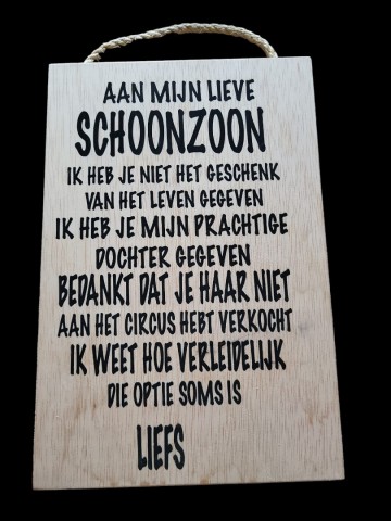 Schoonzoon circus