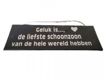 Schoonzoon
