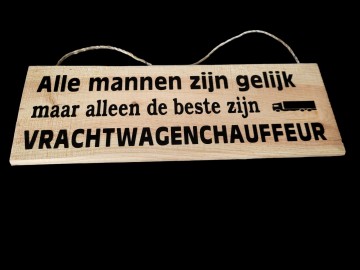 Vrachtwagenchauffeur 1